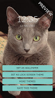 Russian Blue Wall & Lock screenshot 1