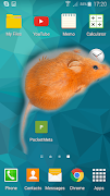7 Schermata Mouse Sullo Schermo