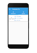 Pedometer Pro 스크린샷 2
