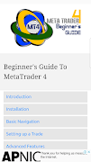 Beginners Guide To MetaTrader 4 Plakat