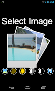 コントラストの写真 ポスター