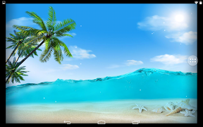 Seashell 스크린샷 5