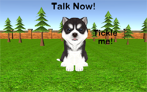 Talky Dog screenshot 1