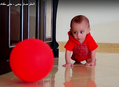 الحلو صار يحبي - طيور بيبي الملصق