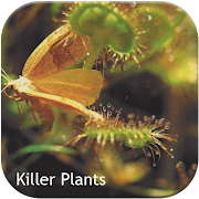 killer plants poster