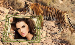 Quadros de fotos tigre imagem de tela 3