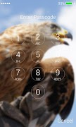 برنامه‌نما Eagle Lock Screen عکس از صفحه