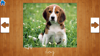 Animals Game for kids screenshot 2