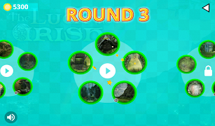 Hidden Difference - Irish Luck اسکرین شاٹ 5