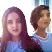 The Datis اسکرین شاٹ 4