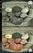 狗的視力模擬器 截圖 6