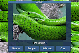 Tile Puzzles · Reptiles ภาพหน้าจอ 6