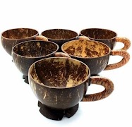 Coconut Shell Craft Ideas Affiche