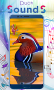 Duck Sounds screenshot 3