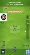 Archery Ace اسکرین شاٹ 2