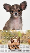 Chihuahua Cute Puppy keyboard Theme imagem de tela 3