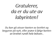 KNV labyrint screenshot 1