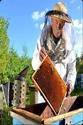 Beekeeper ภาพหน้าจอ 1