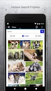 SS Browser - Simple Search screenshot 3