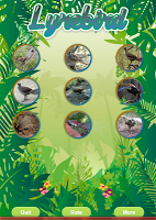 Lyrebird Singing Cartaz