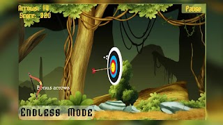Archery Pro تصوير الشاشة 7