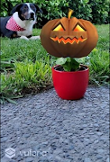 AR Pumpkin captura de pantalla 2
