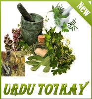 Urdu Totkay تصوير الشاشة 3