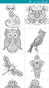 Pretty Patterns : Creative Coloring For Grown-ups 스크린샷 3