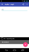 Automatic Transcriptor (BETA) تصوير الشاشة 1