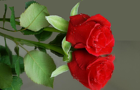 أجمل صور الطبيعة في العالم Ekran Görüntüsü 4