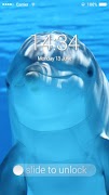 AppLock dolphin पोस्टर