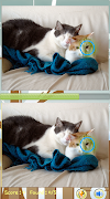 Zoek Verschil Cat Games screenshot 1