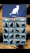 Cat Translator スクリーンショット 2