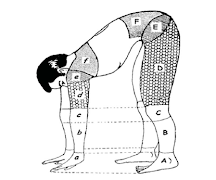 Panduan Pijat Refleksi স্ক্রিনশট 2