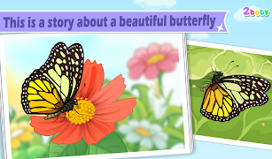 Butterfly - Insect World poster