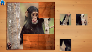 Animals 스크린샷 5