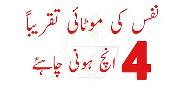 Lun Pora 9 inch Lamba karo ảnh chụp màn hình 1