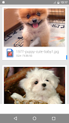 File Manager Ekran Görüntüsü 5