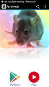 dźwięki Rat plakat