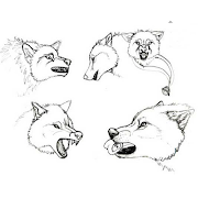 Làm thế nào để vẽ một con sói ảnh chụp màn hình 7