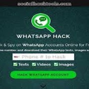 Whatsapp hack скриншот 3
