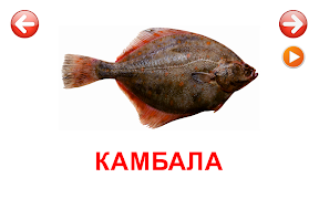 Карточки Животные (море) скриншот 2