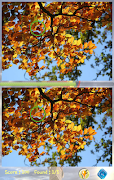 برنامه‌نما Find Differences Level 43 عکس از صفحه