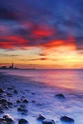 Test Application : P09 постер