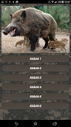 Wolf Howl スクリーンショット 4