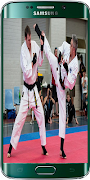 Karate 스크린샷 1