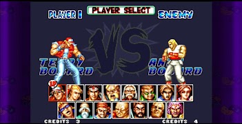 Fatal Fury 2 - Game Tips 海報