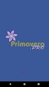 Primavera Pro Guide ポスター