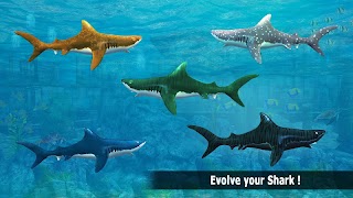 برنامه‌نما Shark Bite Attack 3D-Shark Games عکس از صفحه