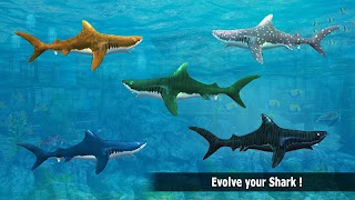 Shark Bite Attack 3D-Shark Games スクリーンショット 4